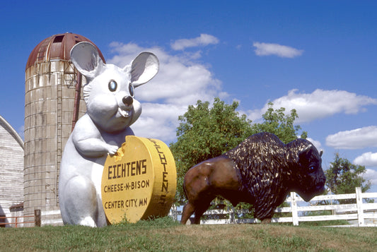 Eichten's Mouse and Buffalo Magnet
